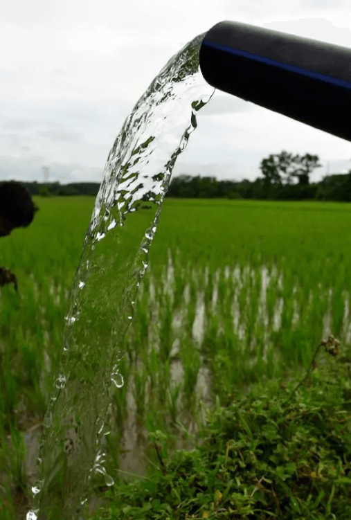 why-work-at-blue-earth